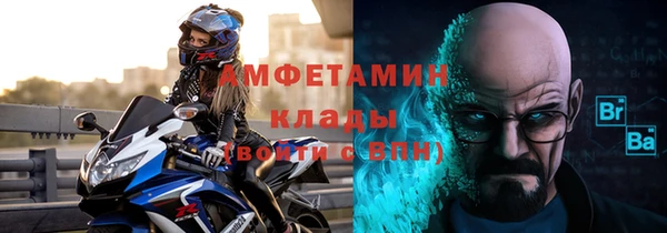 шишки Абаза