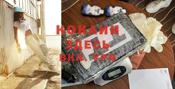 шишки Абаза