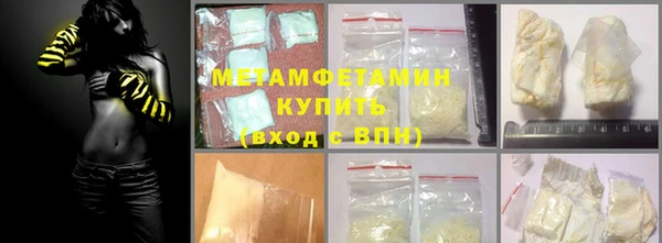 шишки Абаза