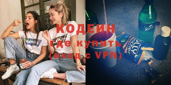 шишки Абаза