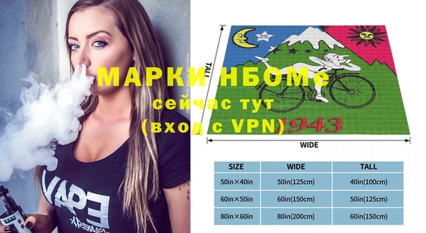 шишки Абаза