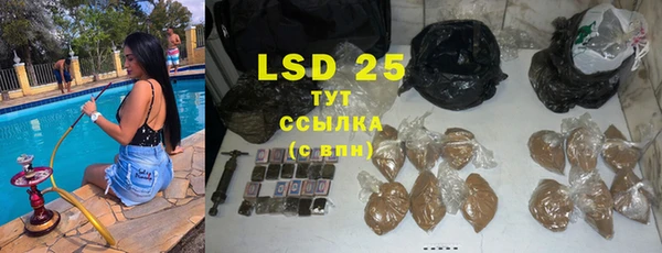 шишки Абаза