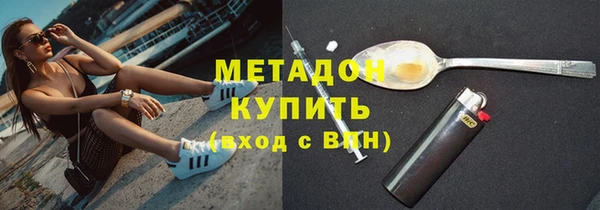 шишки Абаза
