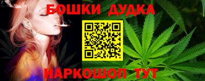 СК Абинск