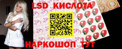 СК Абинск