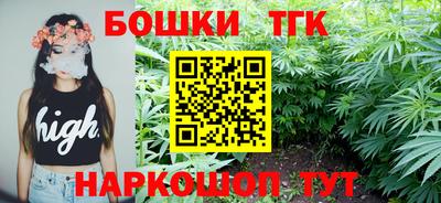 spice Абакан