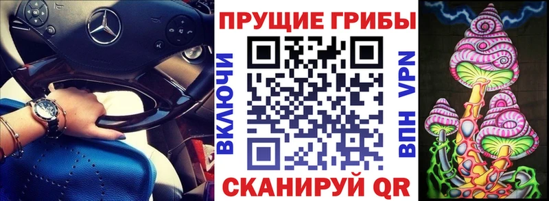 blacksprut ссылка  Азнакаево  Псилоцибиновые грибы Cubensis  наркота 